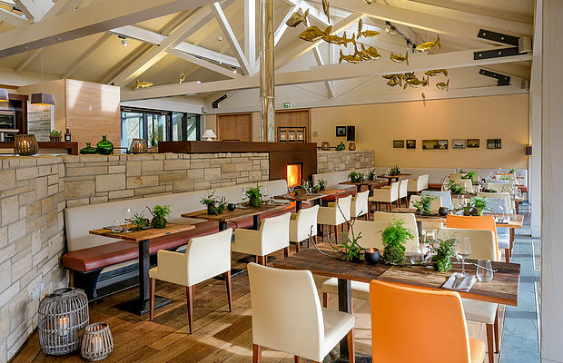 Das schicke Restaurant des Waldhotel FREIgeist Northeim mit schöner Walddekoration auf den Tischen