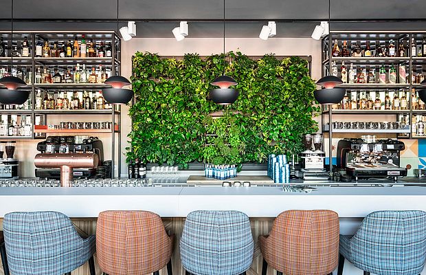 Bunte Stühle auf einer Theke in der Herbarium Bar von FREIgeist Göttingen Innenstadt