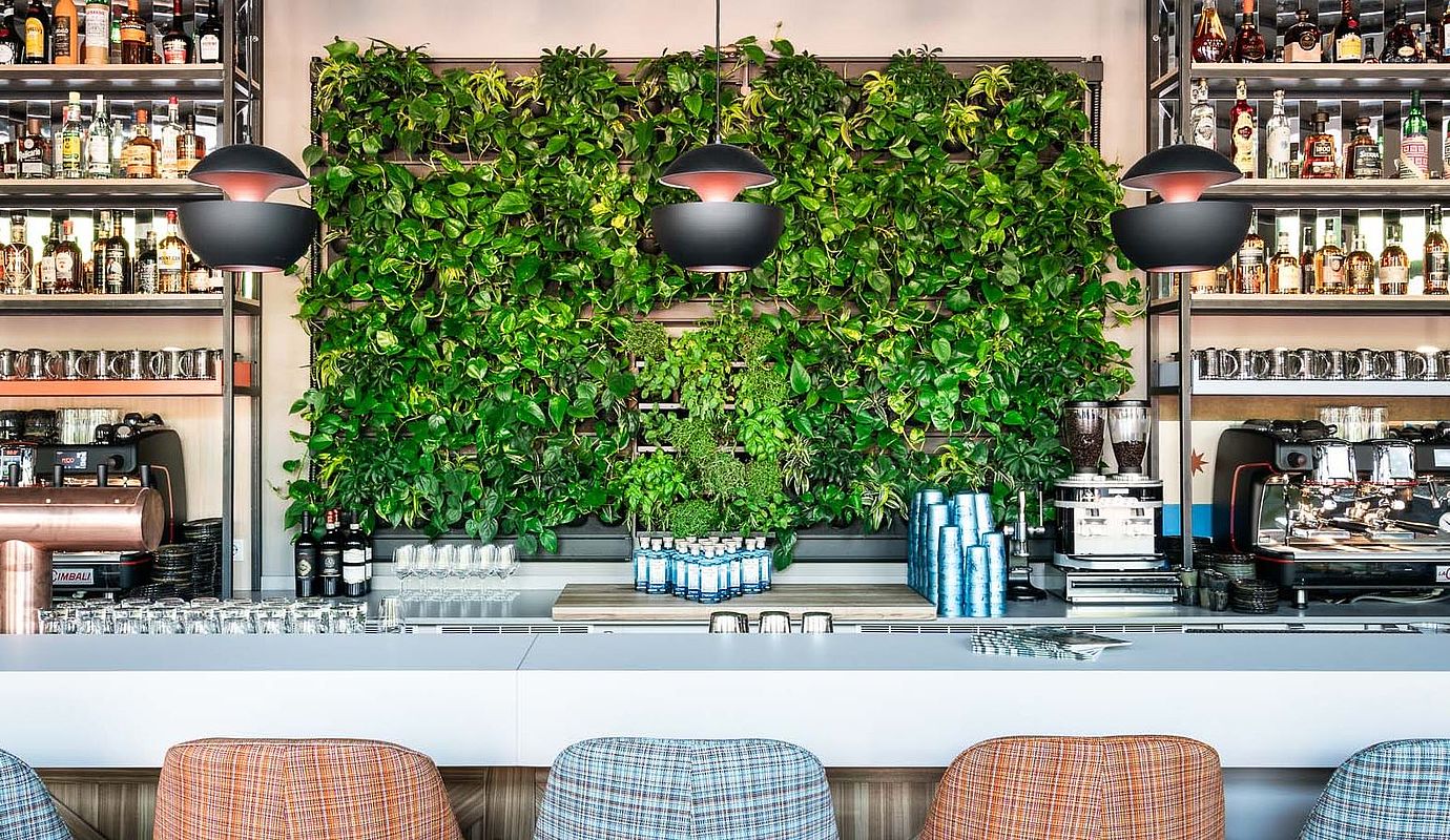 Frontansicht der üppig ausgestatteten HERBARIUM Bar des Hotel FREIgeist Göttingen Innenstadt mit Pflanzendeko