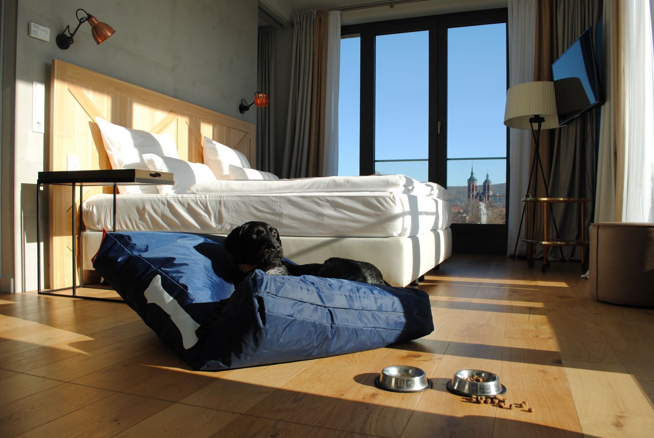 Ein Hund liegt in einem Körbchen vor einem Bett im hundefreundlichen Hotel FREIgeist Göttingen Innenstadt