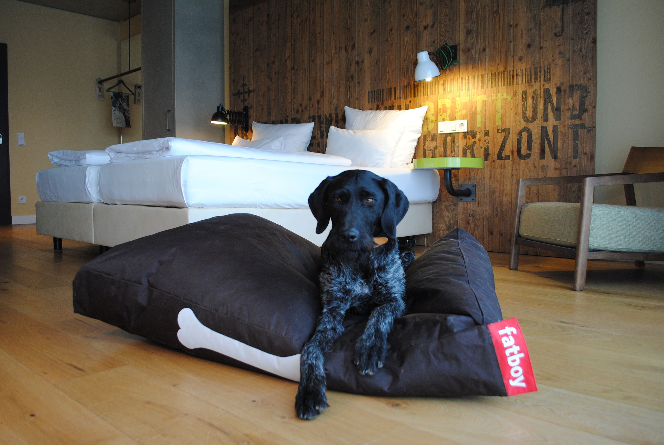 Ein schwarzer Hund liegt im Urlaub mit Hund in Niedersachsen auf seinem braunen Bettchen im Hotelzimmer